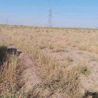 ارض طابو زراعي سند 25تحويل مباشر المساحه 4دونم ارض صالحه للزراعه متوفر...