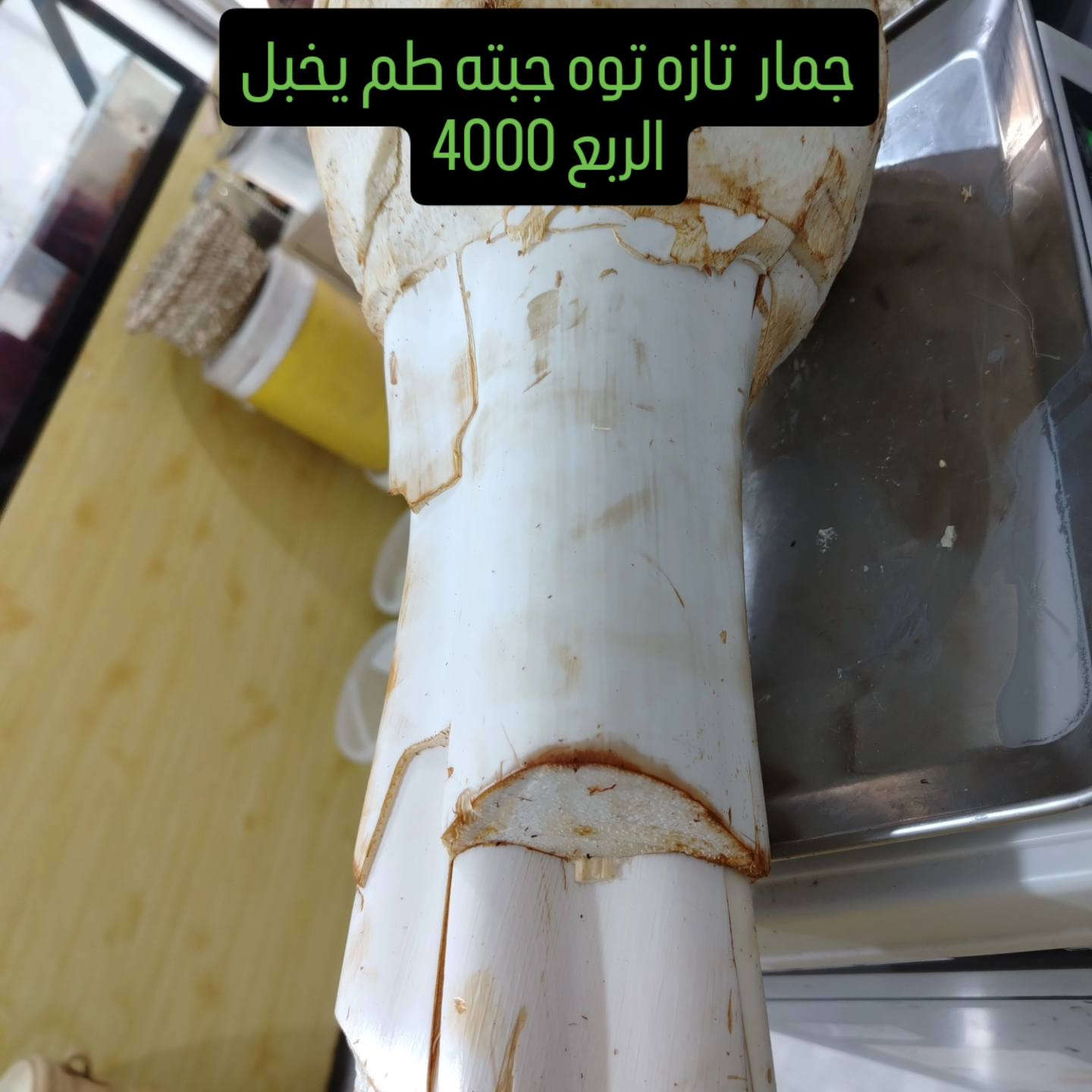 الاسكان الصناعي نهاية النزله الثانيه توصيل مجاني داخل الاسكان ***********
