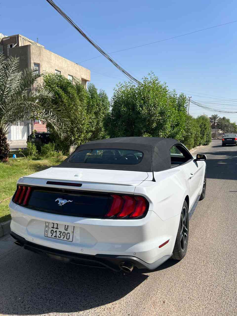 السلام عليكم
موستنك موديل ٢٠٢٣ لون ابيض 
 فول مواصفات قماره كشف 🏎️
محرك 4 سلندر توربو  و كشنات كهربائية وتحكم ستيرن و شاشة +كامره خلفيه 
حادثها بسيط بدون ايرباك 
صبغ بيها بس راس البنيد ورأس الجاملغ 
العنوان : بغداد -  السيديه 
رقم تلفوني للاستفسار واتساب 
‭٠٧٨٥ ٨٨٢ ٧٦٢٩‬‬
سعرها ١٧٤ ونص  
ترهم مراوس
