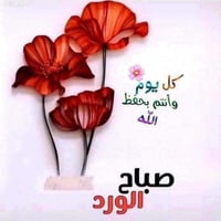 شقة للايجار • عائلة صغيرة • حي العامل