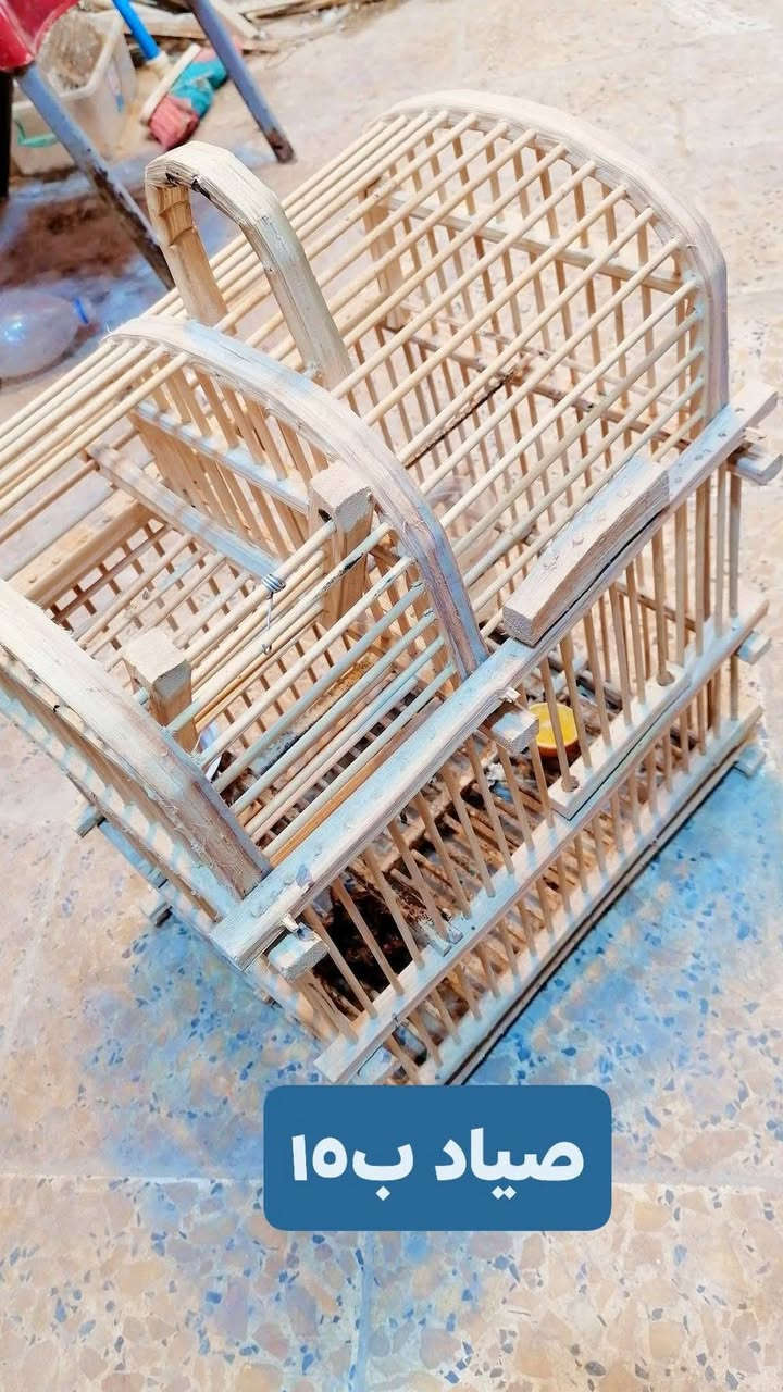 اقفاص بلابل كلمن وسعره

ناصريه بلمدينه *********** اتصال
