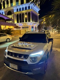 بايك BJ20 • ٢٠٢٠ • محرك ميتسوبيشي