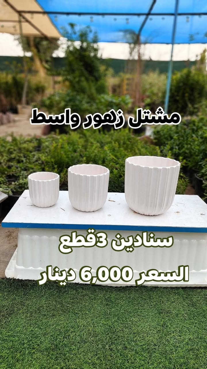 تخفيضات على السنادين السيراميك الايراني والدوارق أهلا وسهلا بيكم مشتل زهور واسط
يفتح المشتل طيله ايام الاسبوع من الساعه 8:00 صباحا والى الساعه 7:00 ليلآ 🌃 

#مشتل_زهور_واسط العنوان كوت فلكه الحاوي شارع مجمع دمشق الطبي مقابل ابتدائية الكوت للتعليم الأساسي #يوجد_توصيل_داخل_الكوت

*********** لطلب والاستفسار واتساب  او مراسله الصفحه الشخيصه بلال الواسطي🌹😊
