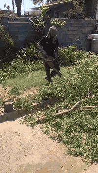 *********** @***********كادرمتخصص لقطع الأشجار والنخيل *********** @الجميع كروب قطع الأشجار والنخيل *********** ***********
