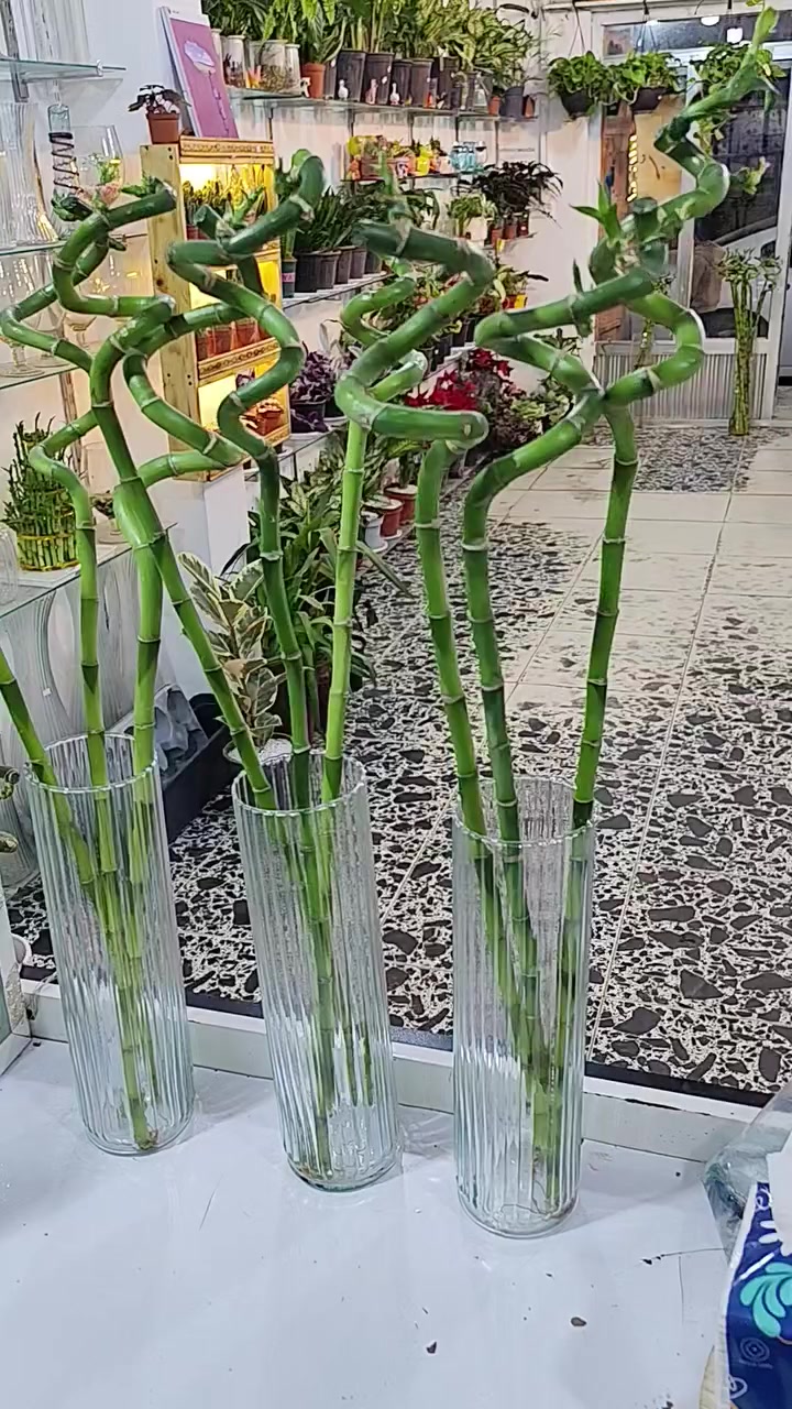 عرض الاسبوع 
٣عصا موسى مع الدورق ب٨ فقط 🥰
العنوان هيت حي الجمعية شارع حامي حميد


**إذا كنت صاحب هذا الإعلان وتريد حذفه لأي سبب، رجاءا أرسل رسالة إلى الدعم الفني**