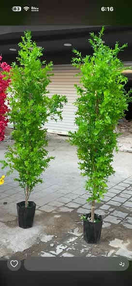 محمد ورد بغداد شورجه عماره الضمان ***********
