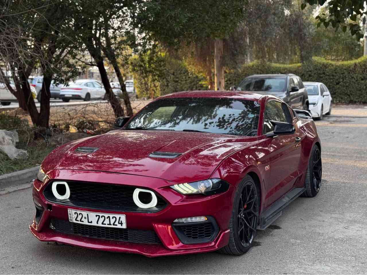 فورد موستنج 2021   GT  10 نمر ♥️✈️
فول  مواصفات  دجتال  داخل جلد  عسلي كلش نظيفة حادثها  جاملغ   نص جاملغ خلفي كلش خفيف  شخط
‎ماشية 36 الف  ميل فقط . ‎السياره كلها بلادية  وكالة  فقط  
عليها  هوائيات  وبرمجة وكلش قوية معروفة بنظافتها  .
السيارة  عليها هواية  اضافات 
دركة ار بي ام  اصلية 
اكزوز روش من طول للطول  اصلي
وبيها كواتم اكتف  تطفي من يمك الصوت 
سقف رولز رويز 
داخل الوان  متغير 
داخل جلد عسلي
كت  ماك  وان  دعاميات  
ويل ماك وان  الاصلي قبل كم يوم شديتة هوه تخم تاير 
بك لايت  سموك  اصلي 
دفيوزر  شيلبي 
سكوبات  اصلية 
حادثها موضح بالصور  كفالة عامة بدون لغد بدون شاصي  حادث سطحي   جاملغ  خلفي نصة  فقط يعني  السيارة وبالعراق  صار بيها طخة  بالبنيد   فقط بدون دواخل    ومحرك وتبريد وصدر  مكفولات وجديدات  رقمها اربيل  هزة  جديدة وسنوية باسمي تحويل مباشر مني  ورقم   جديد لل2030 والسيارة   سعرها 245 ورقة وبيها مجال بسيط  نظيفة و متعوب عليها  متتقارن بالمهجومات ♥️
*********** سجاد الخفاجي بغداد, العراق
