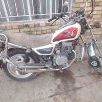 جوندا • أوراق كامله • المجر الكبير