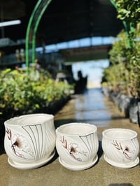 سنادين زجاجية • مشتل ابو مهدي • صلاح الدين قضاء بلد