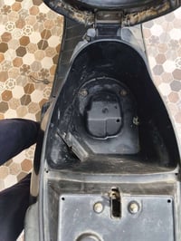 سبيسي • ياباني • مكفوله