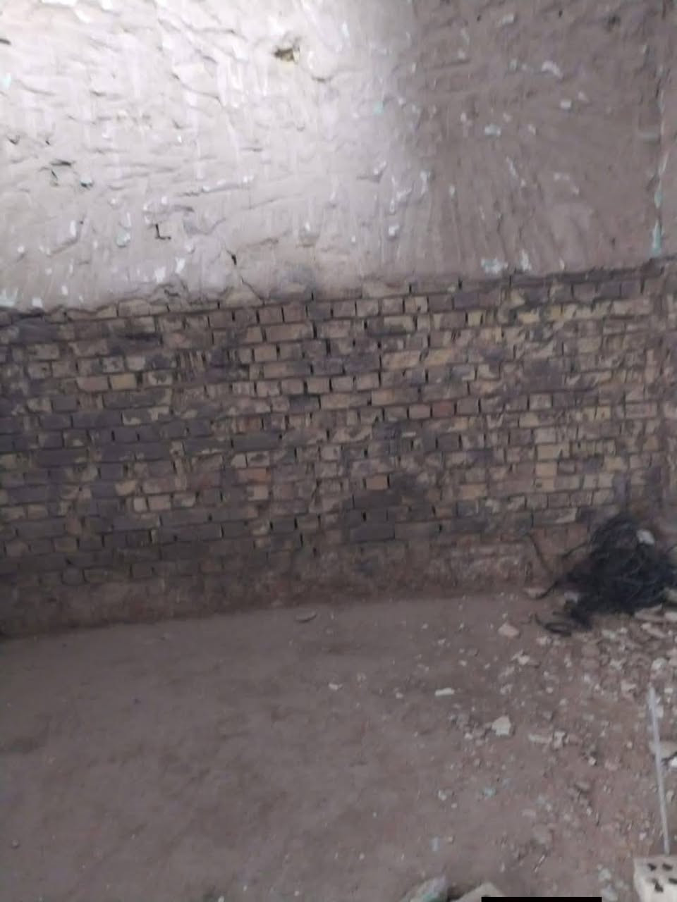 سلام عليكم سلام عليكم شباب لدينا عمال تصعيد مواد اسمنت وطابوق ورمل لدينا عمال تفليش بيوت تنظيف بيوت انقاذ
صبغ شبابيك اي شغله بالعماله لدينا عمال //***********
بيهن واتساب
