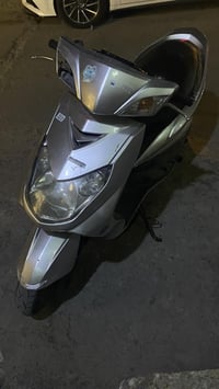 سكنس فحل • ياباني • مكفوله