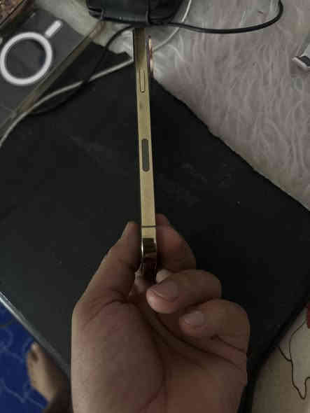 السلام عليكم 13 برو ماكس امريكي فاي جي بطارية 82 ذاكرة 256 تليفون فقط الضهر مالتة السعر 630 وبي مجال حك الجية المكان الكوت قضاء النعمانية (***********)
