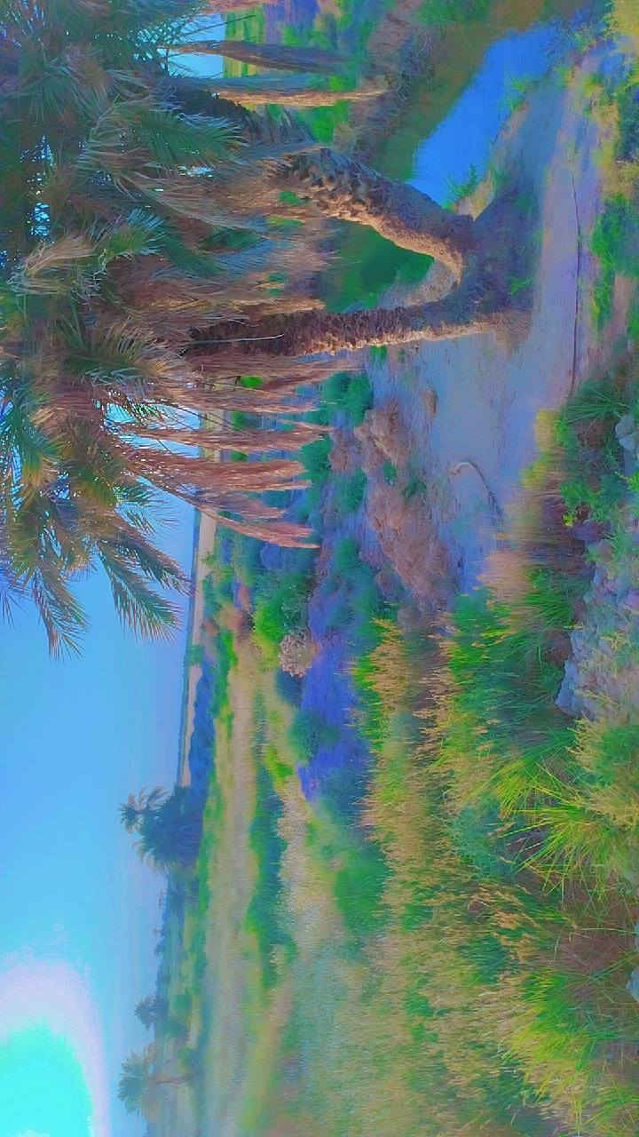 (بسم الله الرحمن الرحيم)
سلام عليكم ورحمه الله وبركاته 
ارض زراعيه (للبيع) مساحتها (15دونم) زراعي .. حدودها مرسومه وكامله ::مكانها قرية الشهيد (النخيلة)
 لل استفسار والتواصل معي او مع هذا الرقم ***********..
