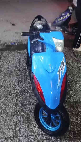 للبيع ماكس عدله بلاديه كله ممفتوحه نضيفه كلش بيه صالنصه FM
اصليه وبيه فج برمبو ويده كاسو أصليات بيهه ويل نجمه سمائي الدراجه مابيها اي نقص فقط سلف ميشتغل لباقي كله مكفول واوراق كامله شلعه ومعدل وكهربائيات كامله السعر 600 وبيه مجال حك جيه للشراي مكاني بغداد الدوره***********موجود واتساب
