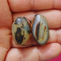 اكسسوارات • قديمات • النجف