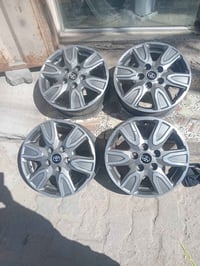تخم وياله ( فلاونزا)  للبيع للاتصال 07833513296
