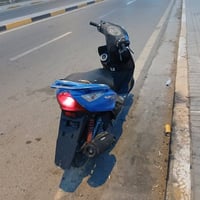 دراجة ثعلب • صالي شهرين • كفالة عامة