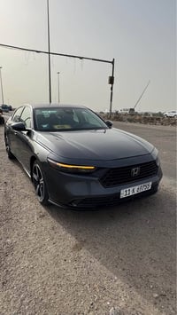 اكورد • ٢٠٢٤ • جلد