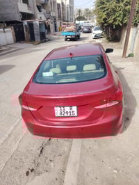 النترا ٢٠١١ • امريكي ٧٥ • مصبوغة حزام