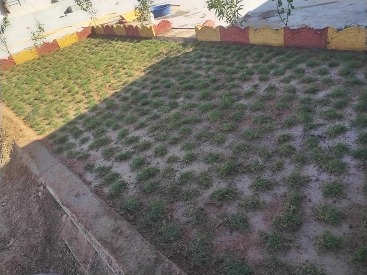 السلام عليكم
سياج الحدائق خشبي
نشتغل على متر طول
***********
***********
وتنظيف وترتيب حدائق
