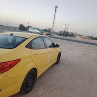 اكسنت • ٢٠١٣ • ورد امريكي