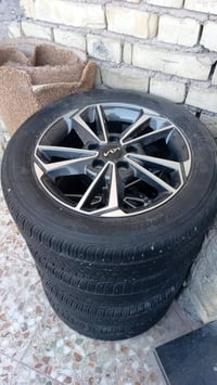 ويل كب • فورتي سيراتو • حجم 16