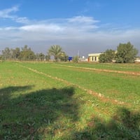 ارض دونمين ونص بغداد سعر الدونم 55 للبيع ارض في بغداد تقاطع النهروان د...