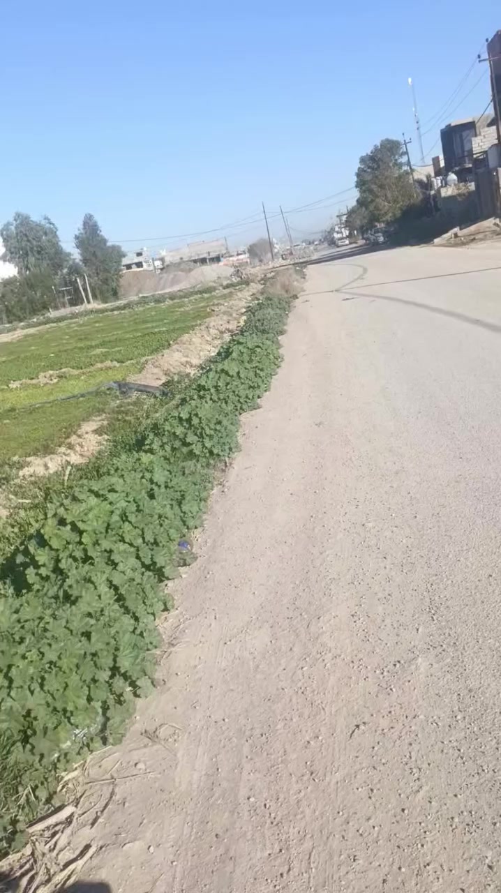 سلام عليكم  عرض جديد
قطعة ارض مساحة ١٠٠ متر  توزيع صدامي
موقع تجاري أو سكني ترهم  مقابيل شارع ٤٠ متر 
عنوان قطعة صدة عل زراعي محمد ليلى 
***********
