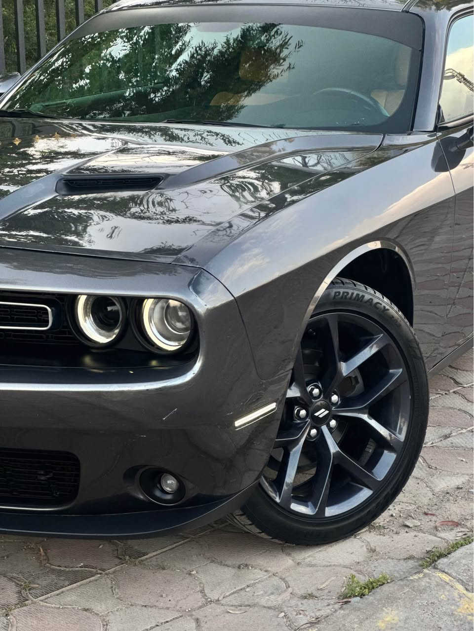 Dodge challenger SXT 2019 
جالنجر اس اكستي 
بدون دواخل قطعة وحدة صبغ سعر مناسب 
محرك ٣٦٠٠V6 و گير مكفول 
شاشة وسط كشن سائق كهربائي 
داخلية بالباكيت 
ستيرن اس SRT 
ماشية 59 الف مايل 
سيارة بيها بس بونيت صبغ بدون دواخل 
ويا روس الجاملغ بي دي ار 
باقي مكفول 
مكان سيارة اربيل 
رقم شانصي 2C3CDZAGXKH735623
سعر 175 مجال بس حق الجية بدون مراوس !
واتساب *********** أربيل, العراق
