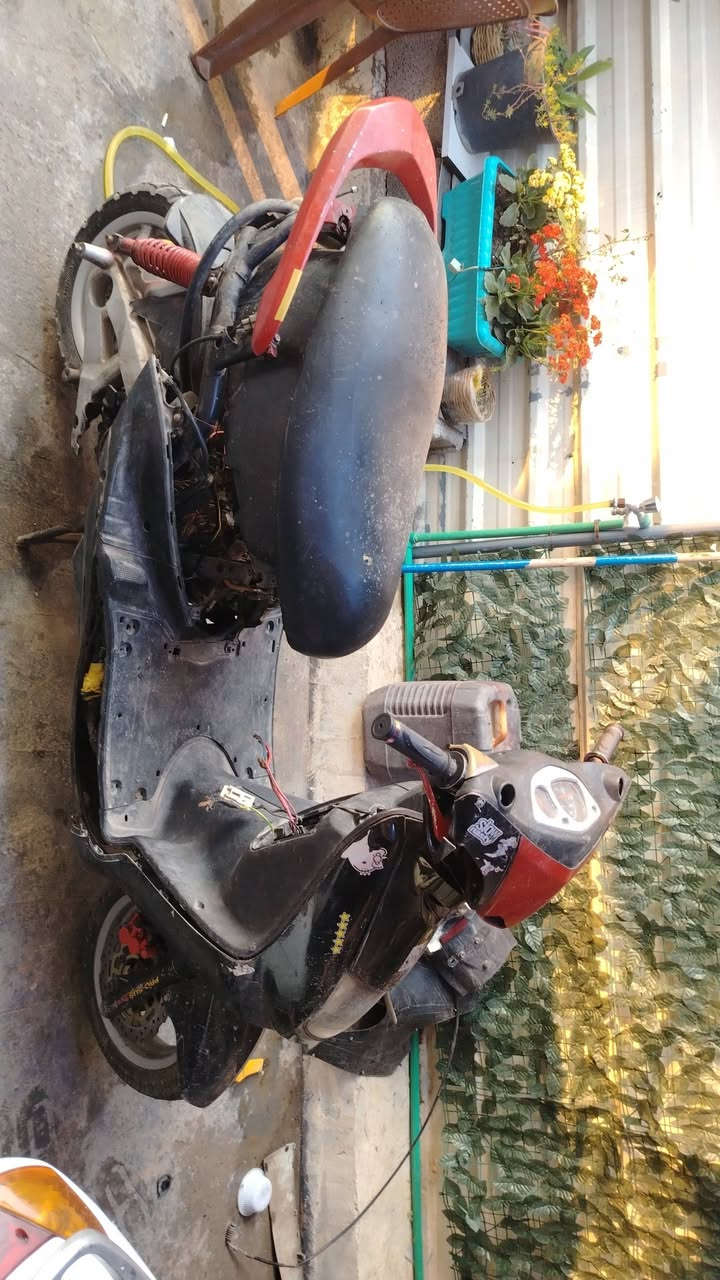 سلامم عليكم سكنز نثية للبيع دراجة ناقصهة باتري كفراتهة موجودة ابيع كوم حديد السعر 325 وبيهة مجال قليل حك الجية متوازي علا بيعتهة عنوان بغداد الدورة حي الصحة ***********
