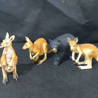 شوف الصور • تفاصيل بالصور