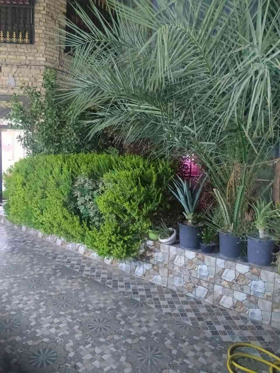 #عقار  #للبيع بيت طابو صرف مساحه200 م ب (عفك) حي الحسين قرب محطة وقود جنة عفك الأهلية
يحتوي على :-
٤ غرف نوم 
صالتين 
٣مجمعات صحية 
استقبال 
مطبخ 
حديقة خارجية ٦×٦ اساس صب 3 مراحل  سقف عكاده اي استفسار ع خاص ***********
