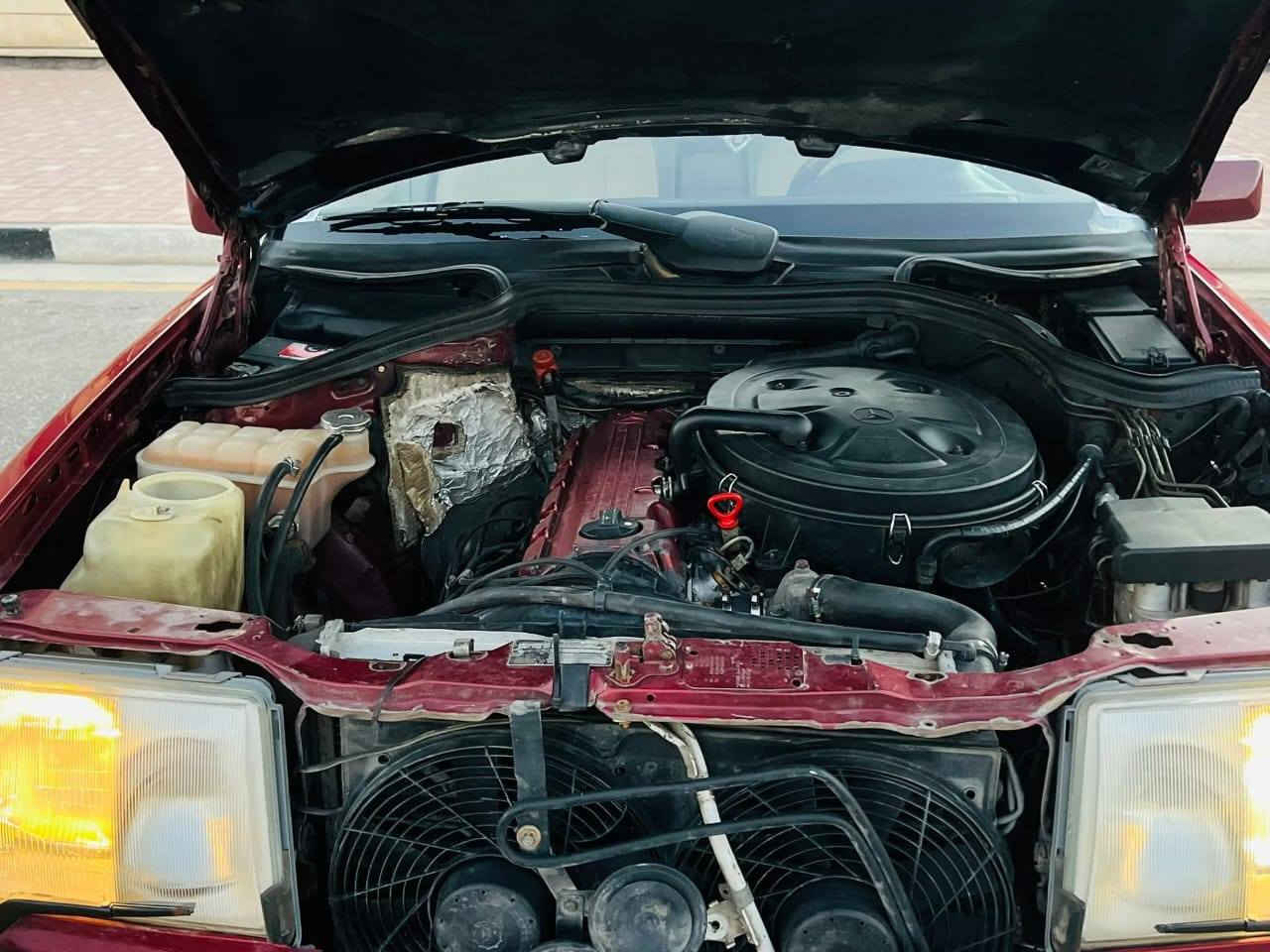 سلام عليكم مرخصت الادمن مراسدس دب مديل 1990عنكبوت بلاد وكير بلاد شرط تراي 200 تخم تاير فول سبير علة وضعه حدادية خير من الله قواعد فول دجات جدد بلاد ماسحة جام  وماطور جديد بلاد السيارة تحتاج ترتيب بسيط كلش متعوب عليها  سيارة مال جناي رقم بابل  السيارة بلادية فقط صبغ عام للجمالية سعرها 70 وبيها مجال سبب البيع محتاج 
بابل قضاء الكفل 
*********** بي واتساب والماسنجر مفتوح
