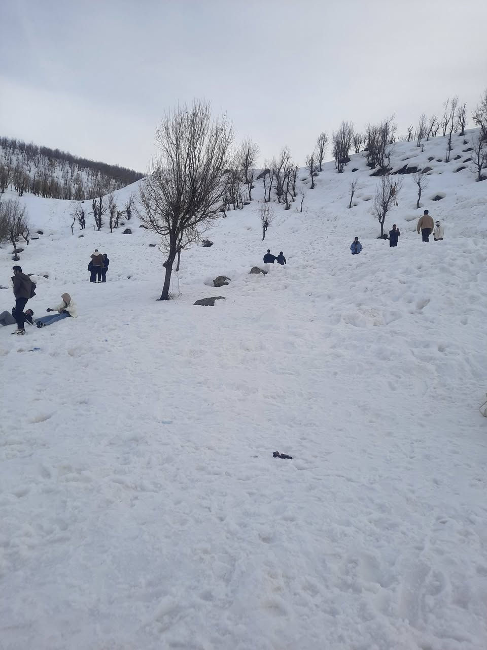 🙋‍♂️_برنامج رحلة إلى #اربيل _غير جوك جبل كورك ثلجي
__________
💧💧#برنامج_يوم واحد🟣  يوم الجمعة  ↙️تاريخ13\2\2026
🔻برنامج يشمل
☄️☃️☃️جبل كورك ⛄️🌩️
🟩#مصايف اربيل /مصيف بيخال 🎗 
🔺مطعم🍗🌭🍽️
✅️مدينة العاب شنكل بانه
🔺مول🏩🛝
——————
بسعر (18)الف

⭕️⭕️للحجــــــــز والاستفسار مراجعة الشركة قرب متوسطه الرشيد 
☎️***********
☎️***********
☎️***********
