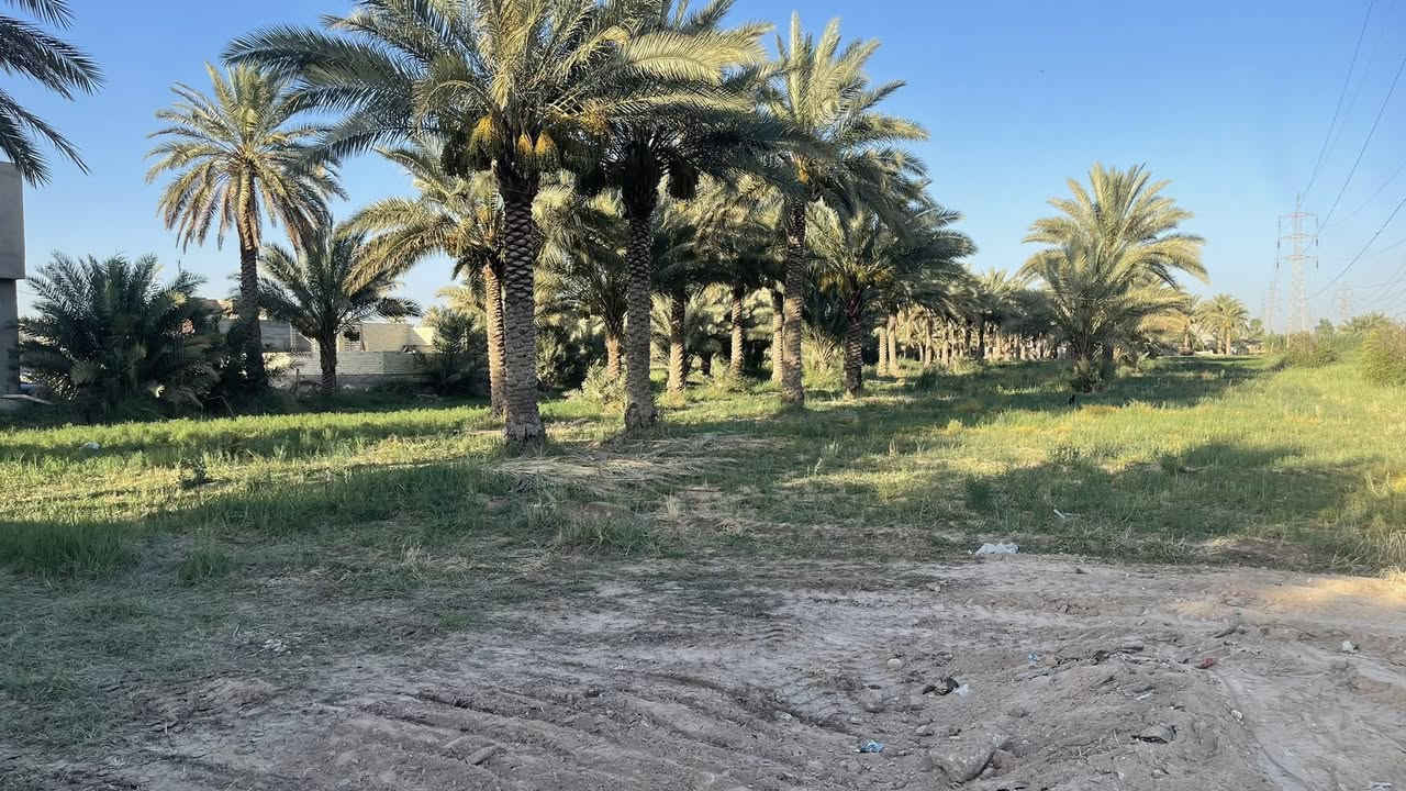قطعة أرض للبيع مساحة 420 متر واجه 15متر طابو سند 25 ‏(تحويل إقرار محكمة بإسم المشتري) متوفرة كافة الخدمات/ الموقع كربلاء - شارع طويريج كربلاء منطقه العامريه 207  تبعد عن شارع طويريج كربلاء 500 متر تبعد عن مركز مدينة كربلاء 8 كيلو تصلح للسكن أو منتجع ترفيهي/*********** /***********
