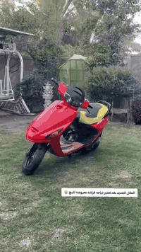 السلام عليكم دراجه اللبيع فراشه ✔️ كهربائيات كلها شغاله 🔱 مكينه شلعه معدل فول دراجه برغي ماعايزه دراجه نصبه الحلوه بيه تجي شوف بعينك الله شاهد عليه دراجه الحلوه نضيفه مكينه خير من الله (مكاني بابل الكفل)(سعر ٣٠٠/تعال شوفه بيك خير تدلل ) رقمي (***********) ملاحظة اذا مو شراء لا تعلق⚠️
