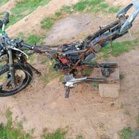 شاصي • بوندة • اوراق