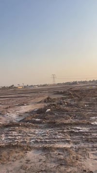 الشافعيه • ٦ دونم • عقد زراعي قانون 24