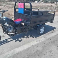 ستوته • 2014 • اوراق اصولي