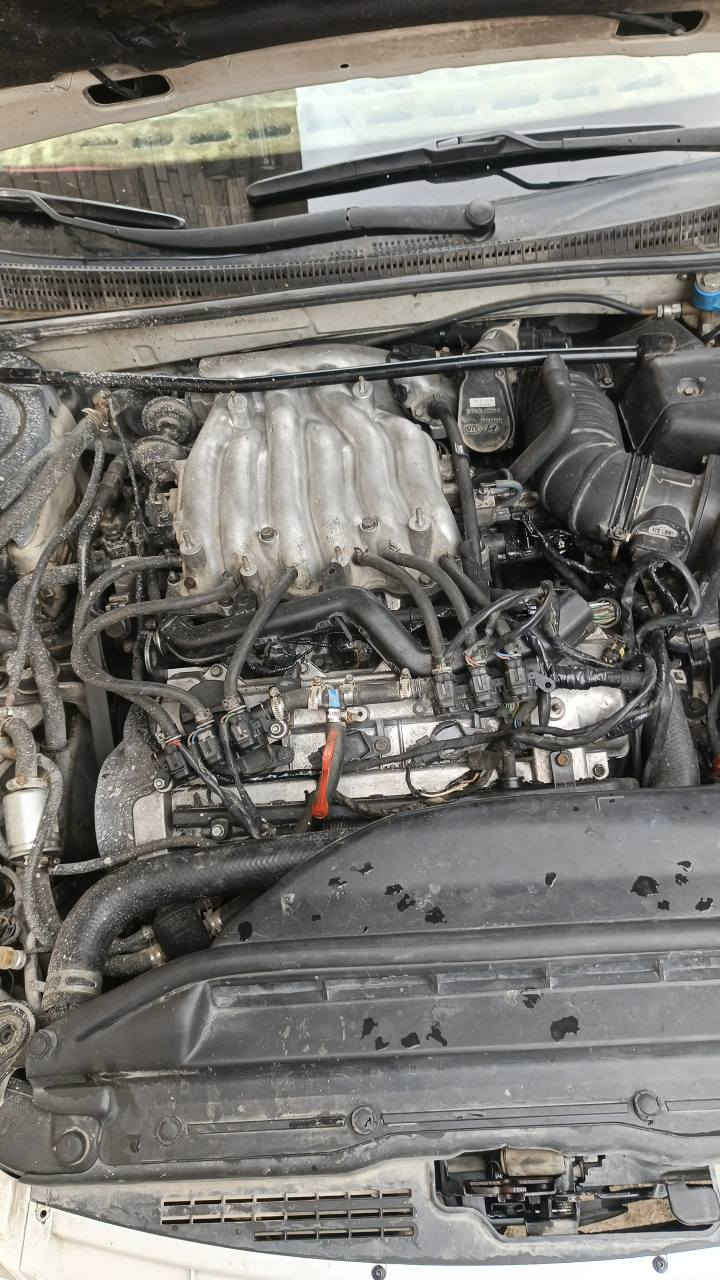 السلام عليكم أي زيره مديل 2008 ادوات سيارة فول مواصفات ماعده البصمه والفتحة دواخل جديدة حداديه كير السياره غاز وبانزين محرك 2700 السياره محركها يشتغل تك ابيعها على وضعها متومه بغداد شغل درجه أولى السعر32 فقل عنوان السيارة بصره أبو الخصيب للتواصل
*********** ابو الخصيب, البصرة
