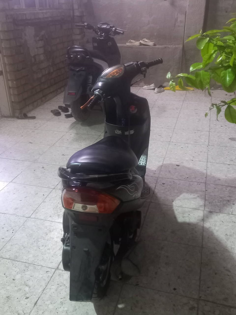 دراجه نظيفه سعر 500


**إذا كنت صاحب هذا الإعلان وتريد حذفه لأي سبب، رجاءا أرسل رسالة إلى الدعم الفني**