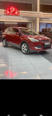 نيفا • ٢٠١٣ • أوراق كاملة