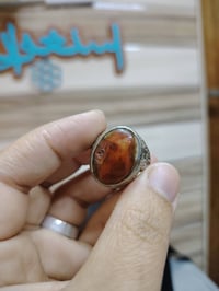 مصور • توصيل