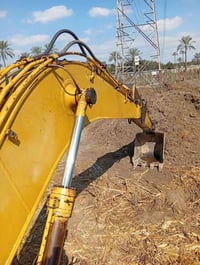 مكنه كومتسو • ١٠٠ • أيوب الشرفاوي