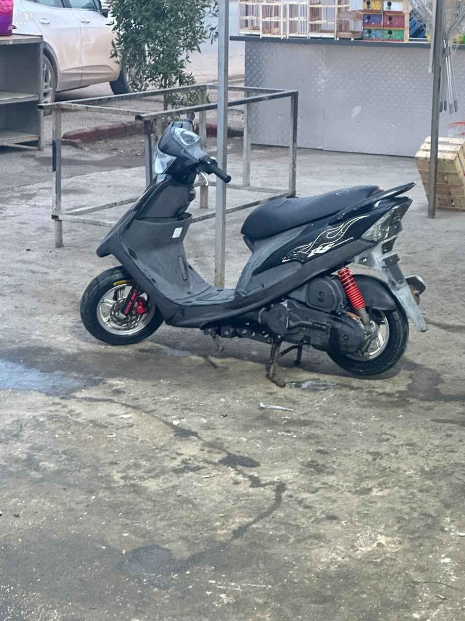 شباب عدله. دراجه رمبه. بل كارتون وصور كدامك شرط مكينه وكفر وملاح وكاله.  بيهه ويل نجمه اصلي.  مكانهه بغداد بياع.   السعر خابر راعيهه.  اني مكلف بل نشر ***********
