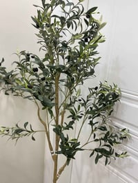 ديكور بيت • مستلزمات جنينة