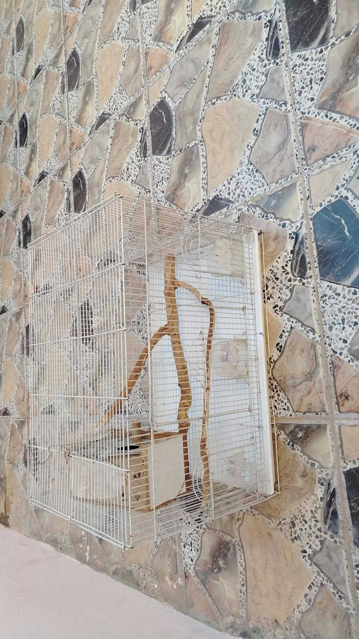 للبيع جانب الايمن حي الشفاء


**إذا كنت صاحب هذا الإعلان وتريد حذفه لأي سبب، رجاءا أرسل رسالة إلى الدعم الفني**