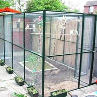 اقفاص تسكام المتر مربع ٢٠ الف كل الالوان موجودة مع الصبغ النقل والشد م...