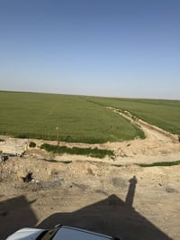 المثنى الرحاب • ٢٤٠دونم • مزرعة متكاملة